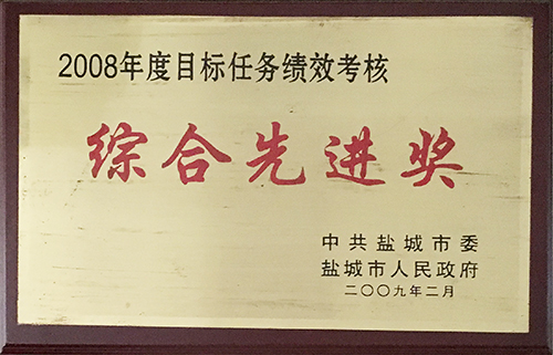 2009年2月目標(biāo)任務(wù)績(jī)效考核&ldquo;綜合先進(jìn)獎(jiǎng)&rdquo;.JPG